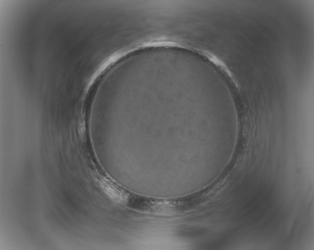 X0000082171167200701191300