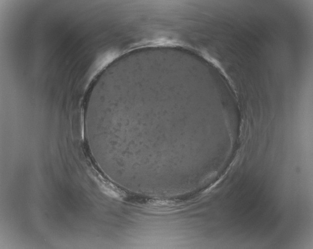 X0000082171171200701191300