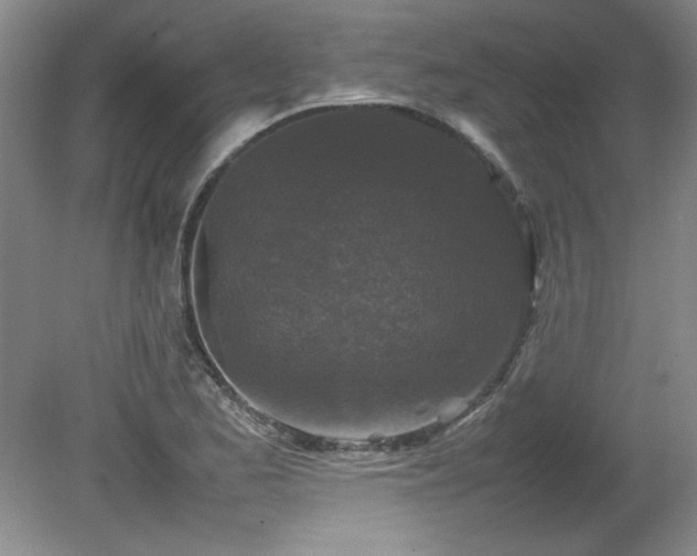 X0000082171173200701191300