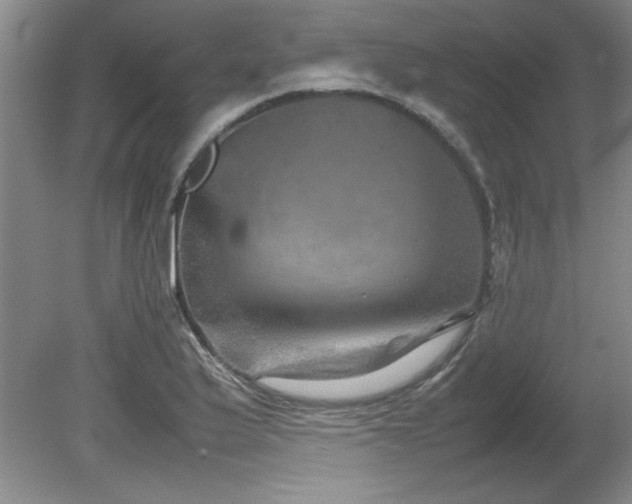 X0000082171175200701191300