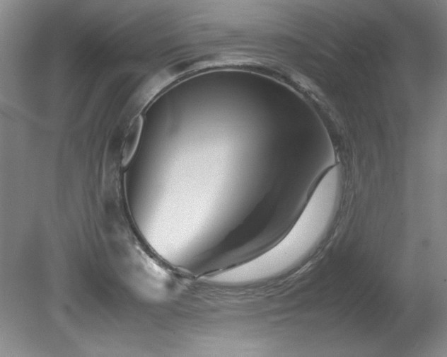 X0000082171177200701191300