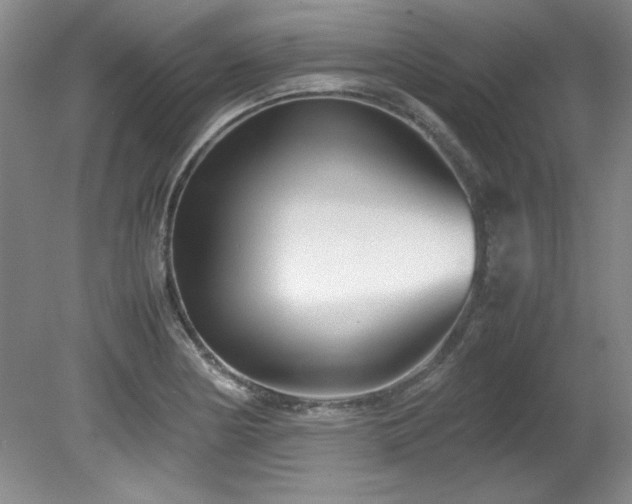 X0000082171178200701191300