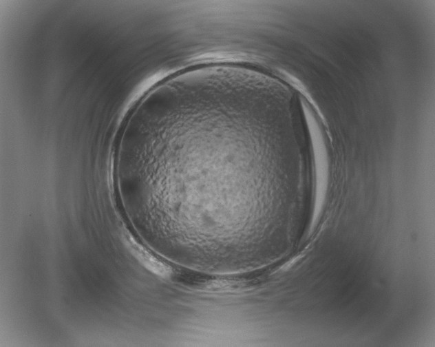 X0000082171179200701191300