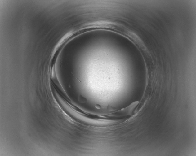 X0000082171180200701191259