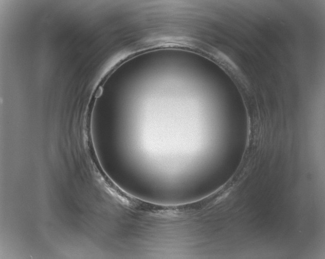 X0000082171182200701191259