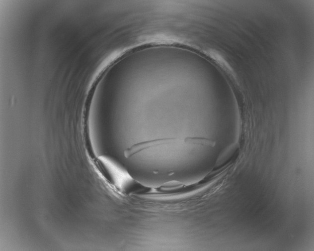 X0000082171183200701191259