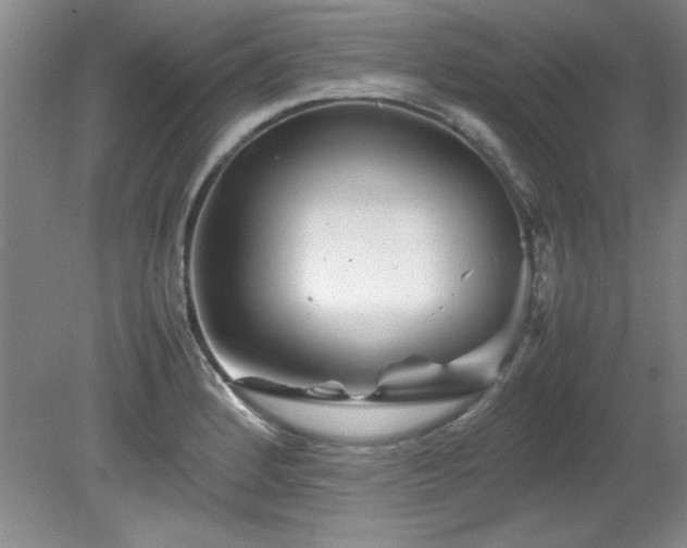 X0000082171184200701191259