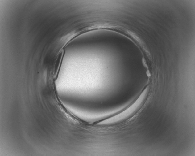 X0000082171185200701191259