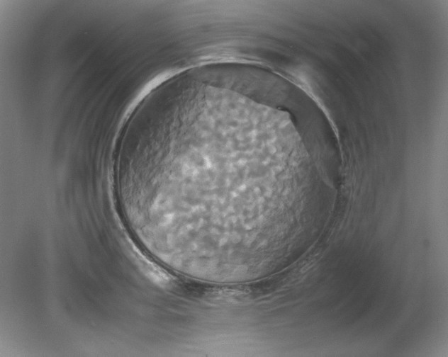 X0000082171187200701191259