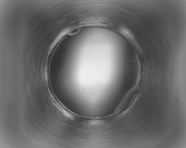 X0000082171188200701191259