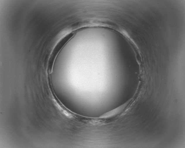 X0000082171189200701191259