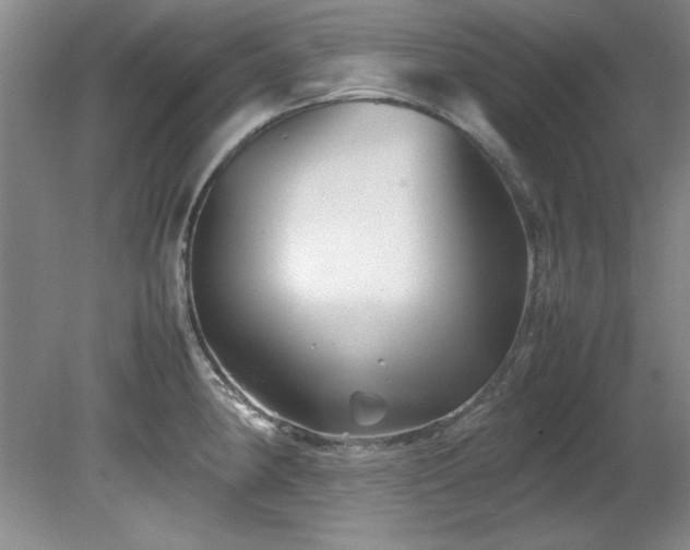 X0000082171190200701191259