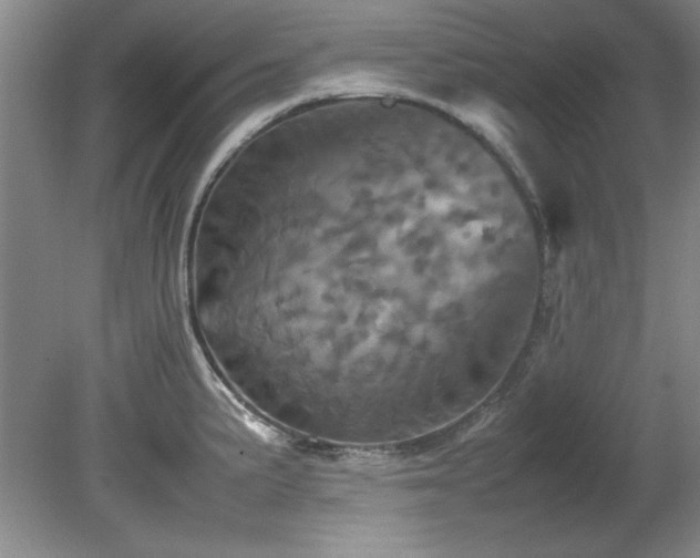 X0000082171191200701191259