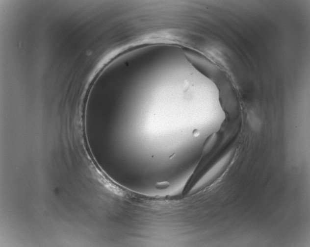 X0000082171192200701191259