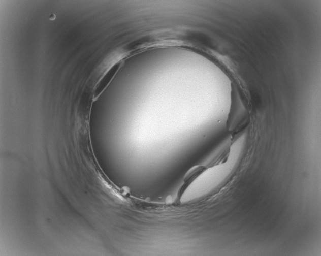 X0000082171193200701191259