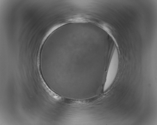 X0000082171195200701191259