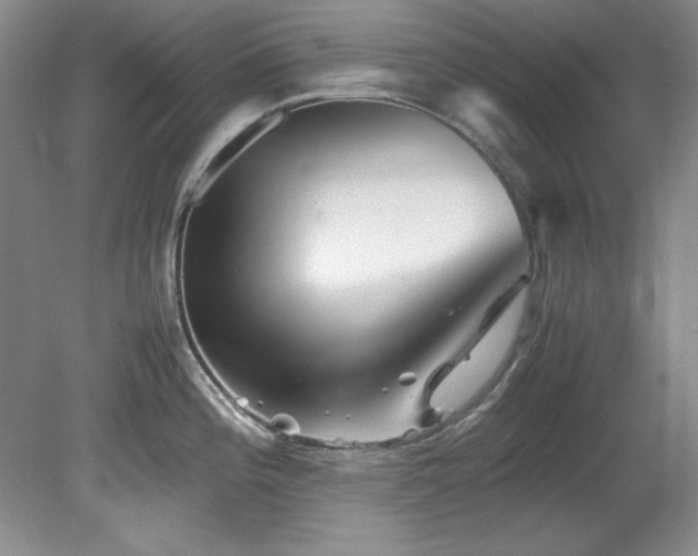 X0000082171196200701191259