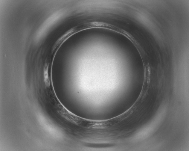 X0000082171198200701191259