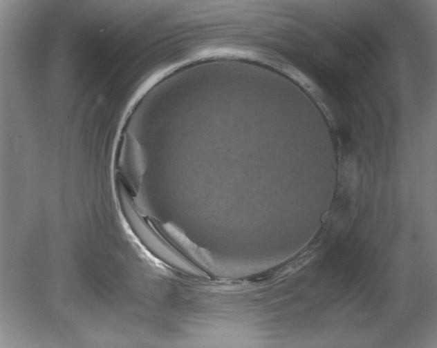 X0000082171199200701191259