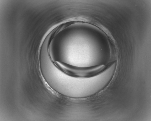 X0000082171200200701191259