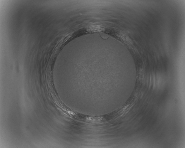 X0000082171201200701191258