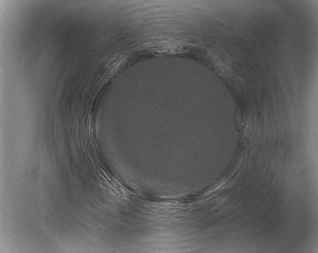 X0000082171202200701191258