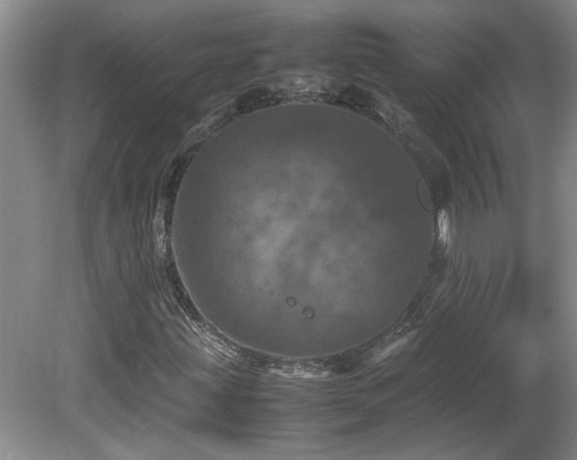 X0000082171203200701191258