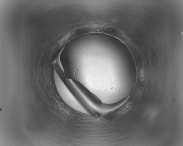 X0000082171204200701191258