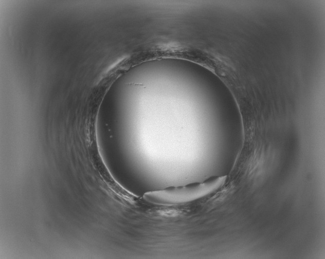 X0000082171205200701191258