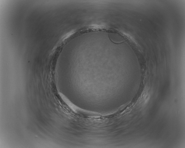 X0000082171207200701191258