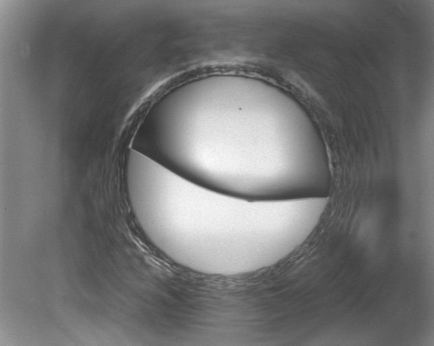 X0000082171208200701191258