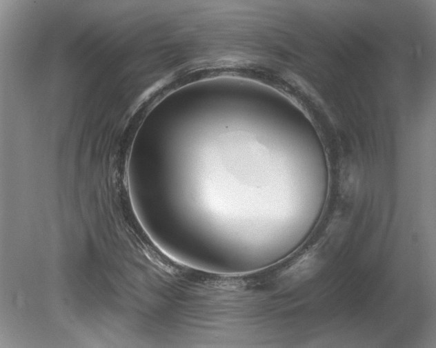 X0000082171210200701191259