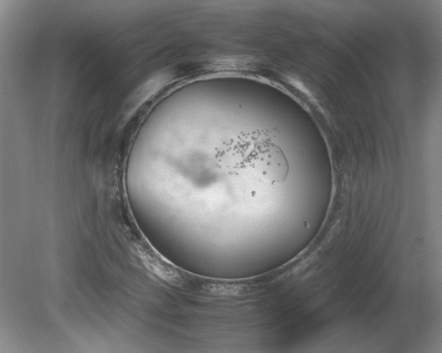 X0000082171211200701191259