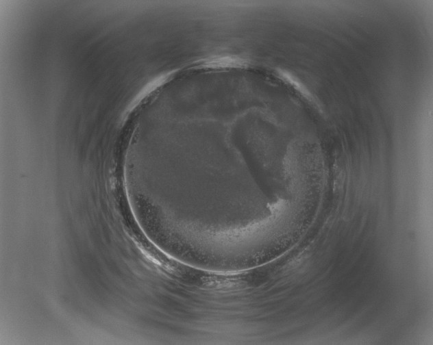 X0000082171213200701191259