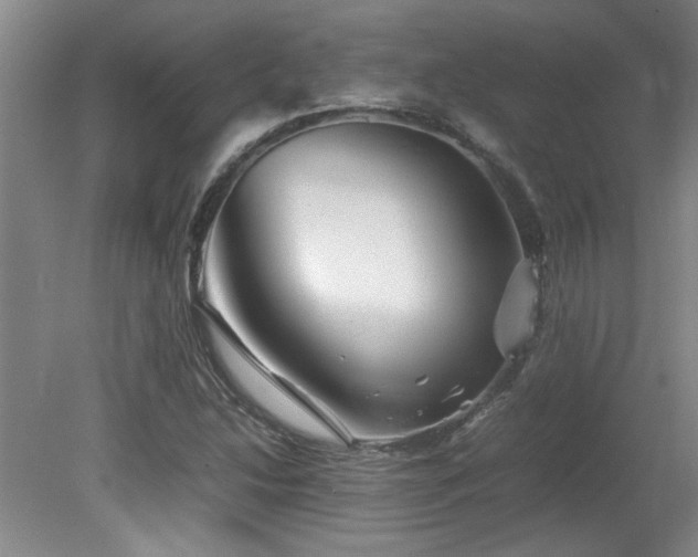 X0000082171214200701191259