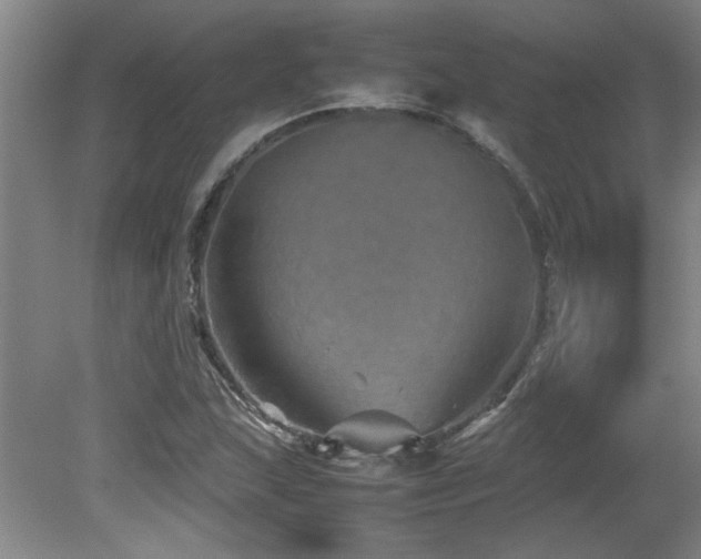 X0000082171215200701191259