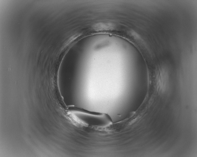 X0000082171217200701191259