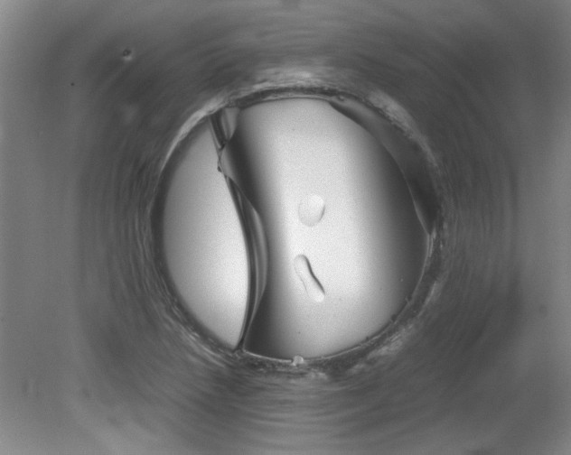 X0000082171218200701191259