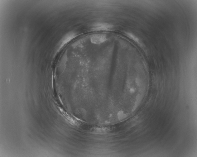 X0000082171219200701191259