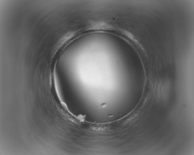 X0000082171221200701191259