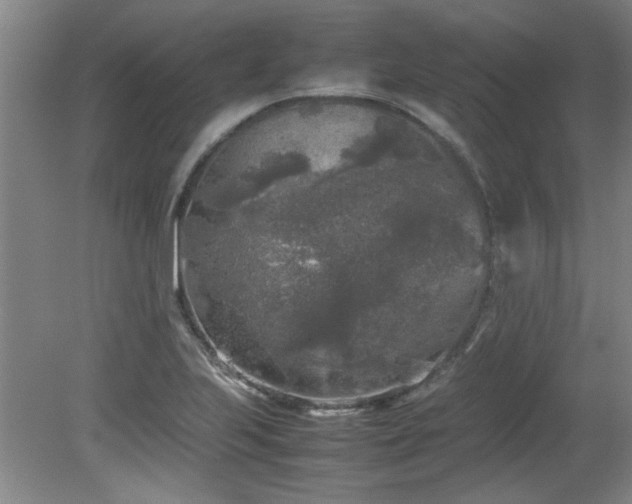 X0000082171223200701191259