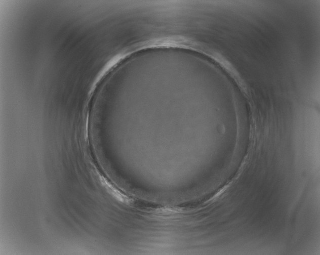 X0000082171224200701191259