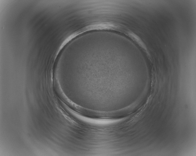 X0000082171226200701191259