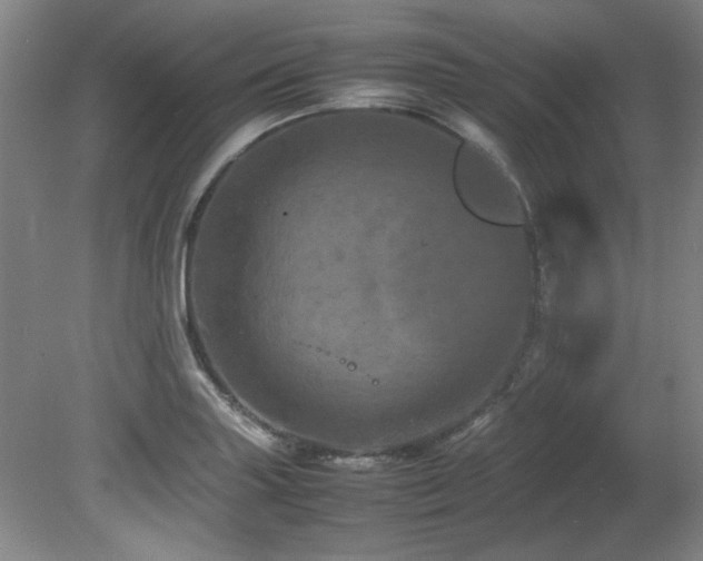 X0000082171227200701191259