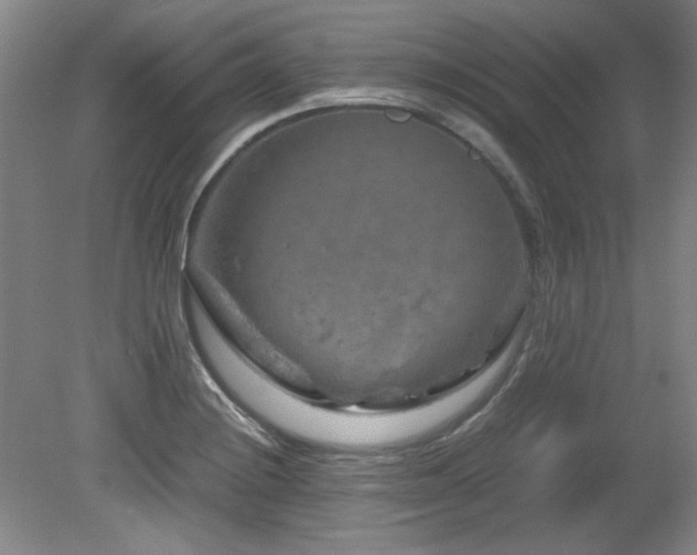 X0000082171228200701191259