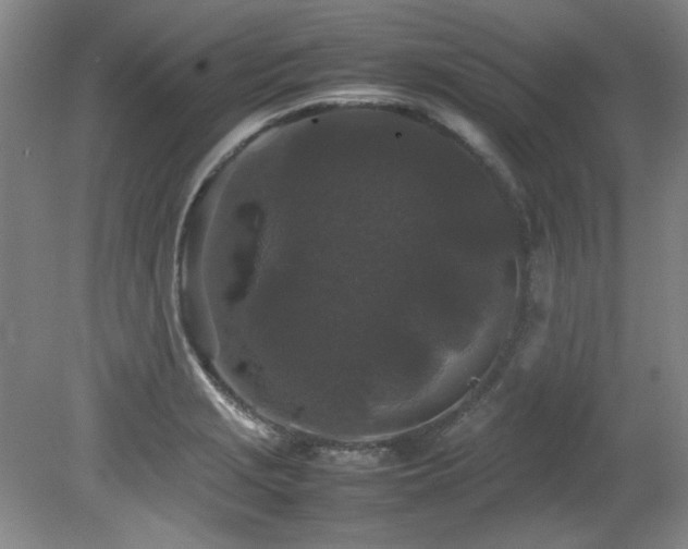 X0000082171229200701191259