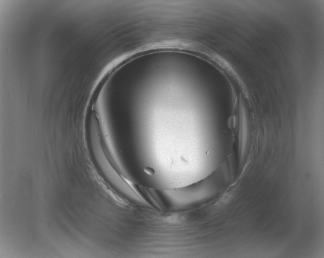 X0000082171230200701191259