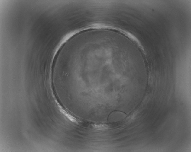 X0000082171231200701191259