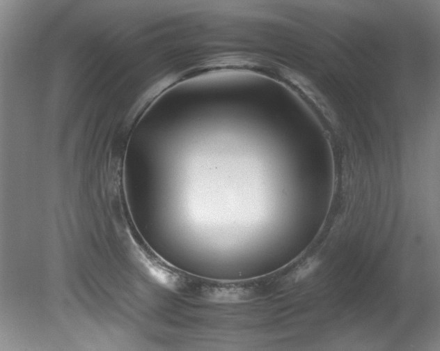 X0000082171233200701191259