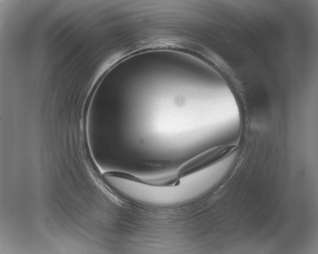 X0000082171234200701191259